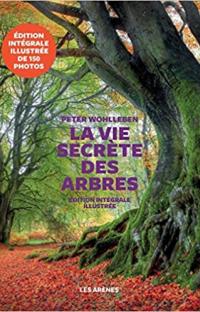 La vie secrète des arbres